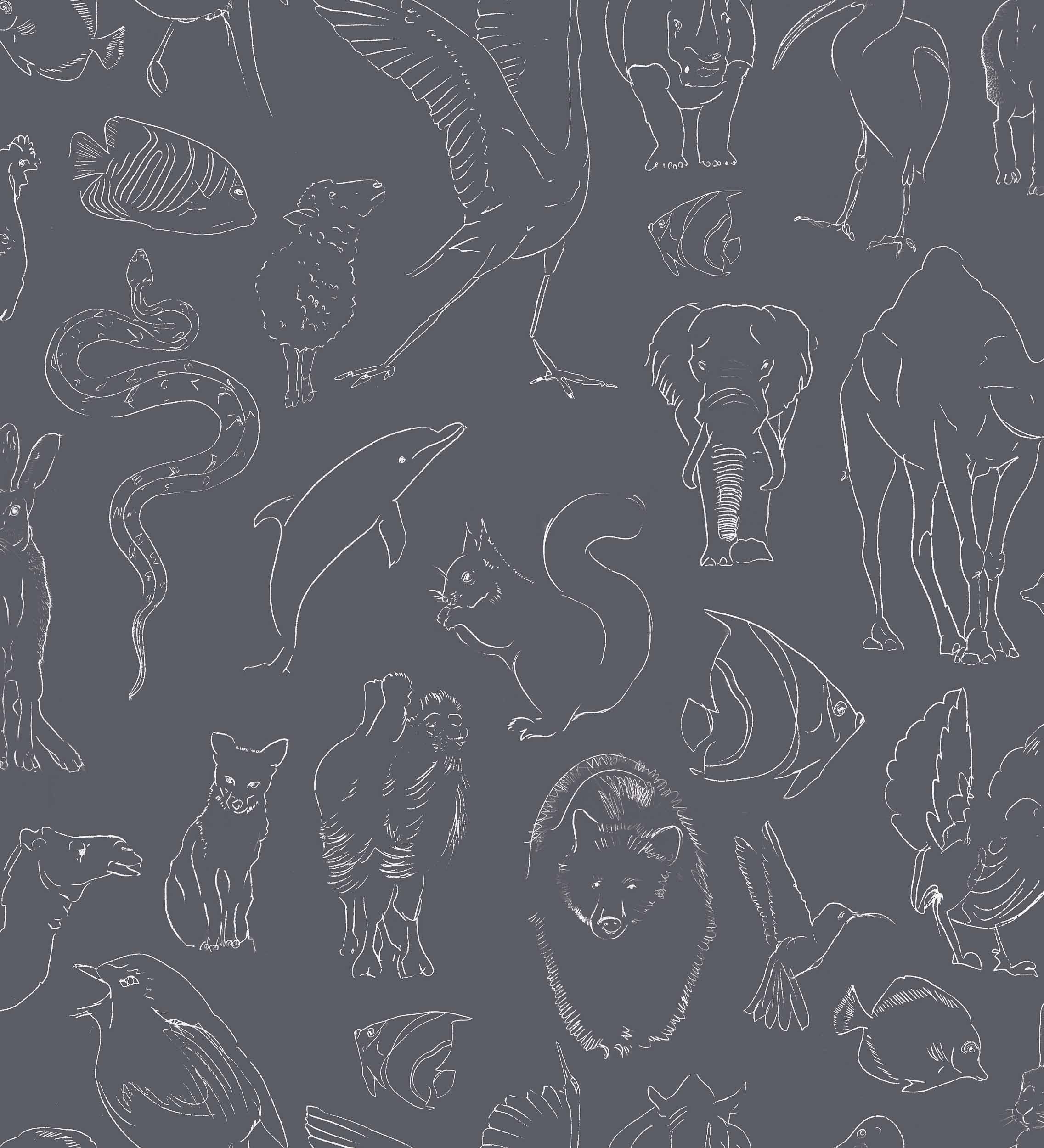 Zoology, Chalk, Coordonne 5mp / rola
